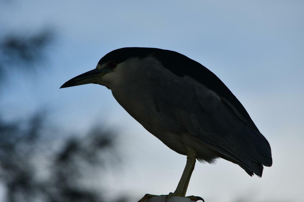 Pousada Barra Sul Лагуна Экстерьер фото